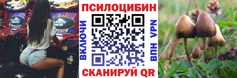 Псилоцибиновые грибы мухоморы  Новокубанск 